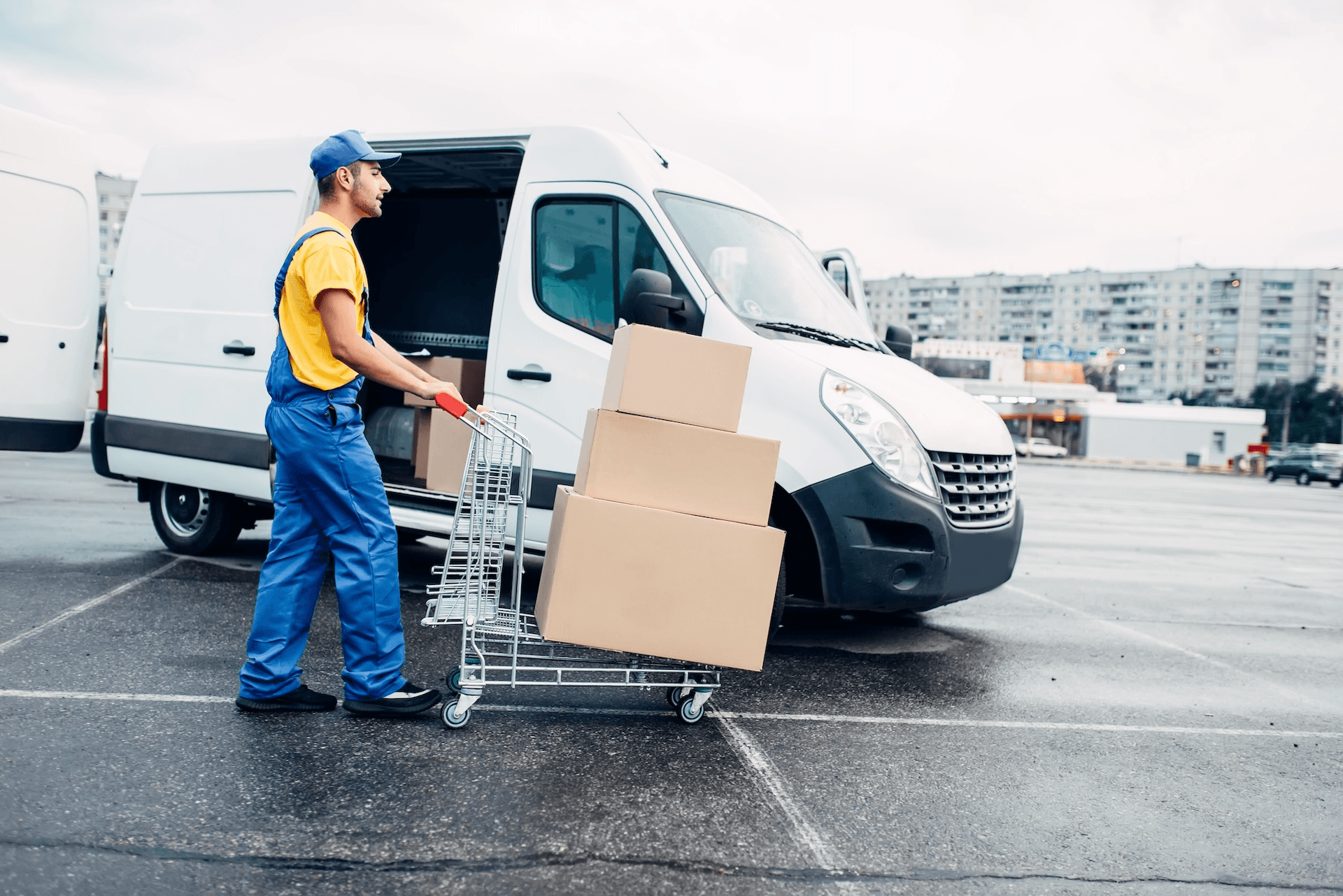 Rocket Shipping logistics operations